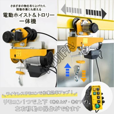 Con chạy điện 500 KG - 220V FUJIFA LP CCD-FUJIFA-500KG - Tời điện nhập khẩu Chính Hãng COCQ Con chạy điện 500 KG - 220V FUJIFA LP CCD-FUJIFA-500KG - Tời điện nhập khẩu Chính Hãng COCQ