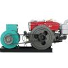 Máy phát điện đầu nổ D8/3KW/220V/ mát nước - Máy xây dựng nhập khẩu Chính Hãng